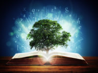 Cultivating Excellence in Local School System
